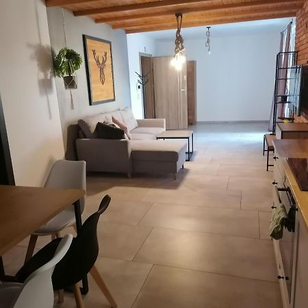 Appartement Apartament Jelen à Złotów Extérieur photo