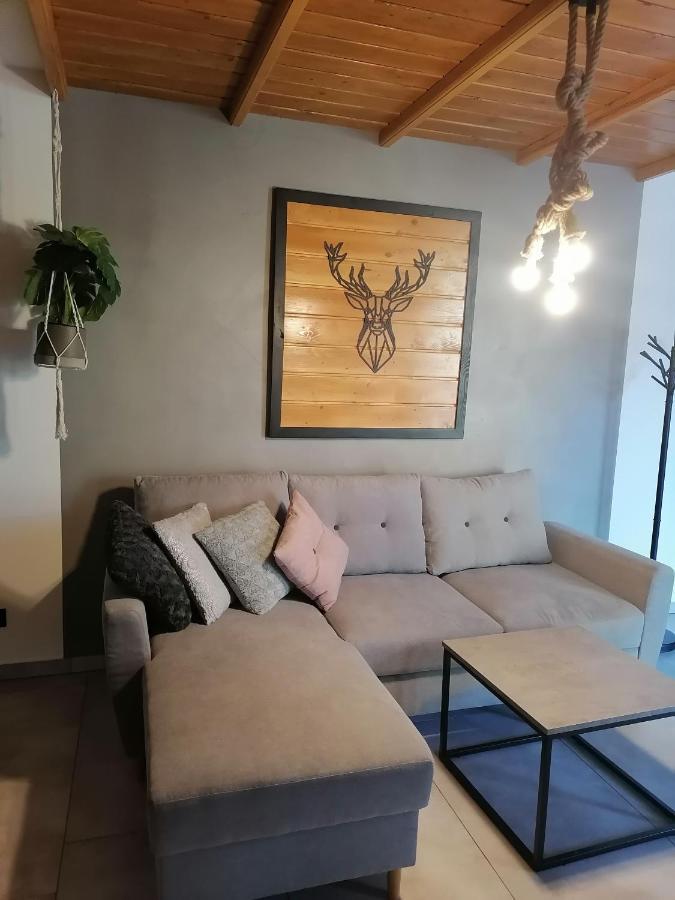 Appartement Apartament Jelen à Złotów Extérieur photo