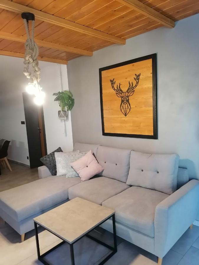 Appartement Apartament Jelen à Złotów Extérieur photo